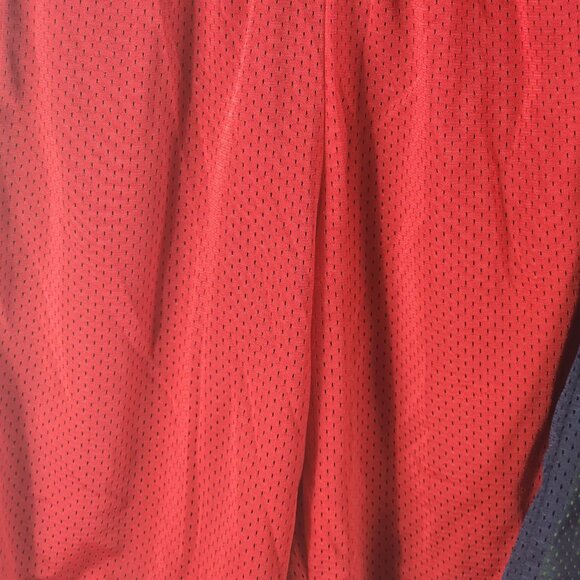 Athletic Works Poly Lined Mesh 2pk Blue/Green Red/Black Shorts Size XL 14-16 - Picture 5 of 16